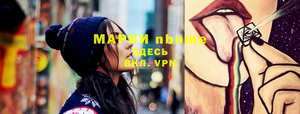 ешки Бородино
