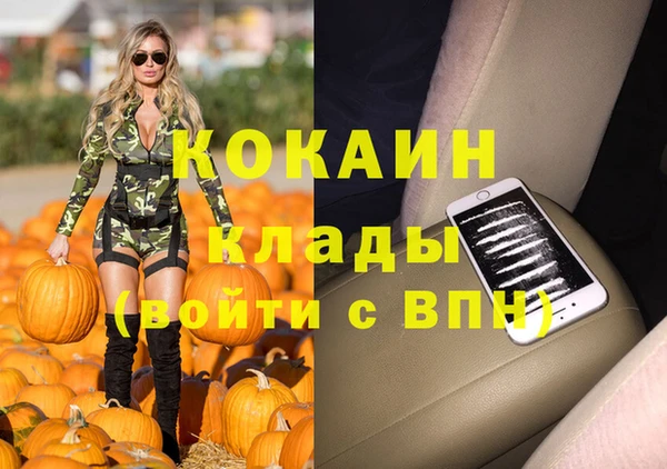 ешки Бородино