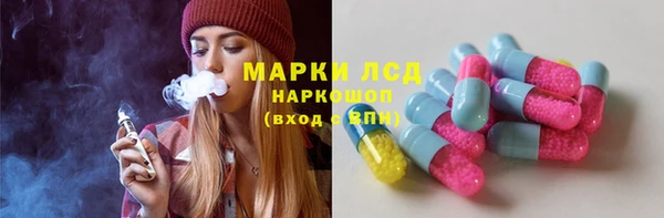 ешки Бородино