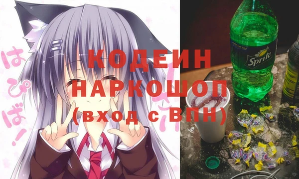 ешки Бородино