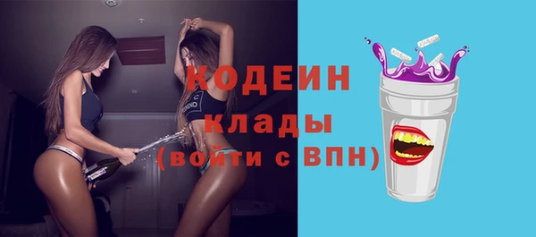 ешки Бородино