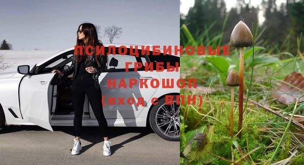 гидропоника Бронницы