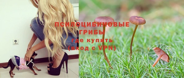 гидропоника Бронницы