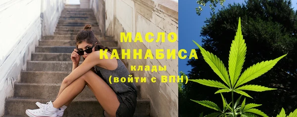 ешки Бородино