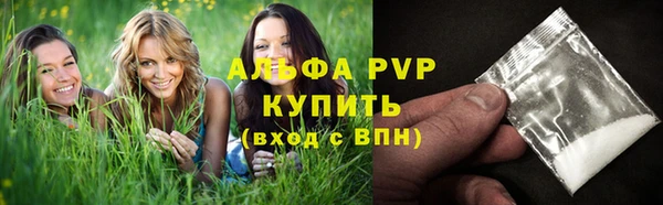 ешки Бородино